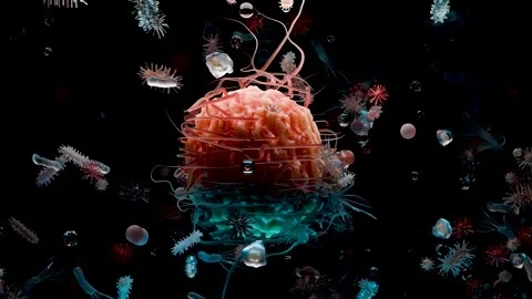 Different types of virus and bacteria and microbe and germs set, Microbiology Stock Footage 289543614