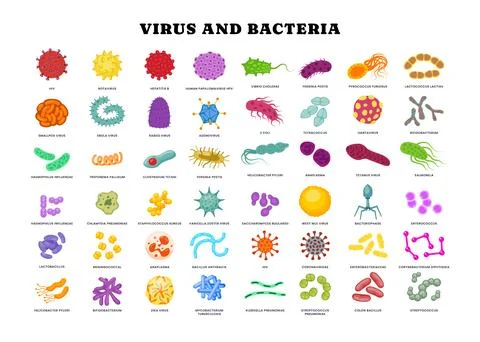 Different types of virus and bacteria set collection poster for healthcare .. Stock Illustration