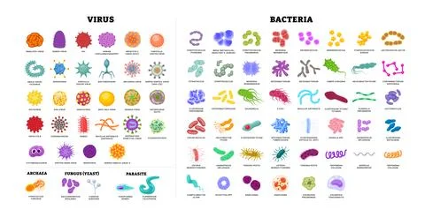 Different types of virus and bacteria set collection poster for healthcare .. Stock Illustration