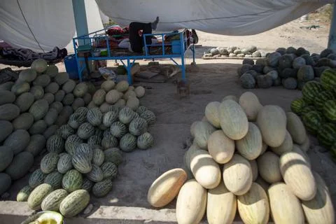 Different types of watermelon Fotos Stock