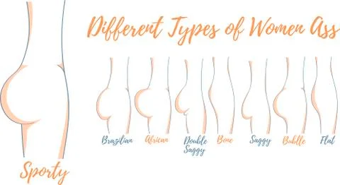 Different types of women ass vector illustration Stock Illustration