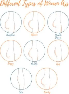 Different types of women ass vector illustration Stock Illustration