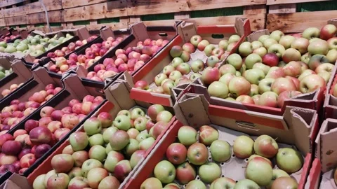 Different varieties of apples in cardboard boxes at the farmer's market Vidéo 174160757