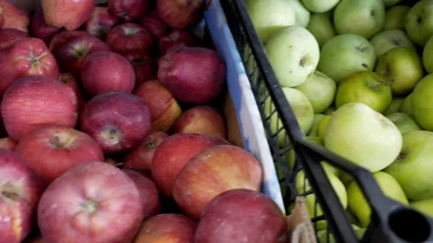 Different varieties of apples. Harvest of red and green apples. Boxes with diffe Stock Footage 281716530