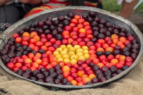Different varieties of cherries. Stock Photos