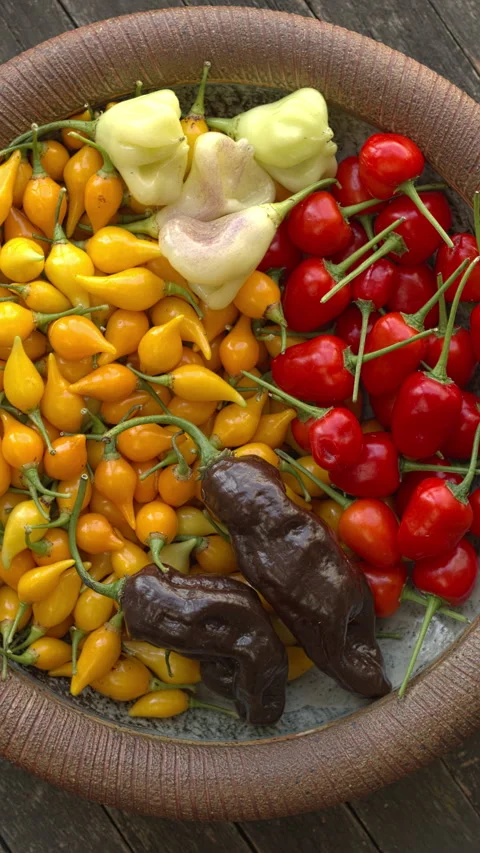 Different varieties of chili on a plate. Vertical video. Stock Footage 277275510