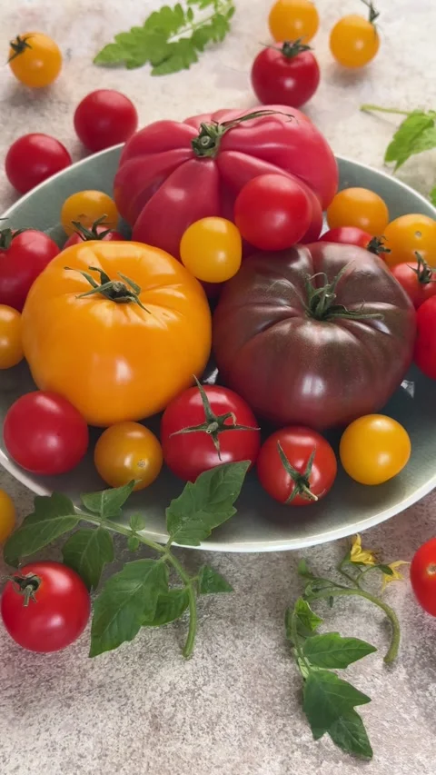 Different varieties of colorful tomatoes rotating on a plate Stock Footage 339784899