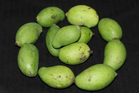 Different varieties of mango in nature Stock Photos