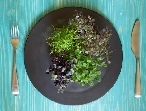 Different varieties of micro-greenery on a round black plate. On a blue wooden Stock Photos