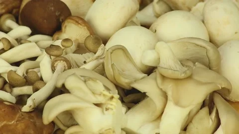 Different varieties of mushrooms spinning Stock Footage 177904148