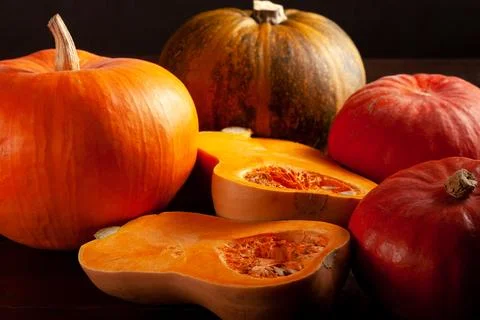 Different varieties of pumpkins on a dark background Stock Photos