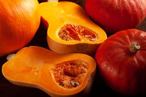 Different varieties of pumpkins on a dark background Stock Photos
