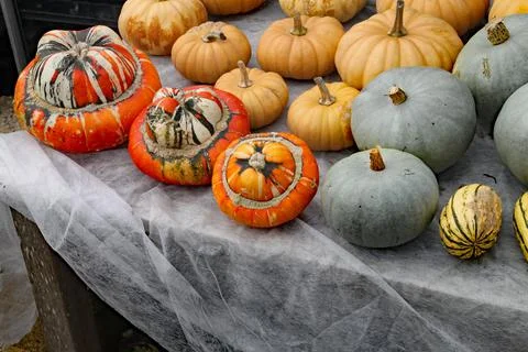 Different varieties of pumpkins on display on a cloth covered table Stock Photos