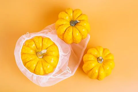 Different varieties of Pumpkins in mesh bag of fabric on orange background Stock Illustration