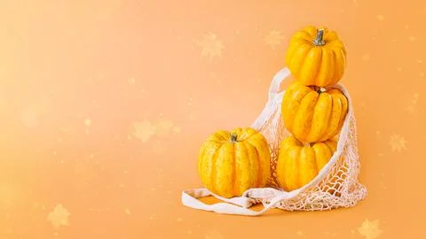 Different varieties of Pumpkins in mesh bag of fabric on orange background Stock Illustration
