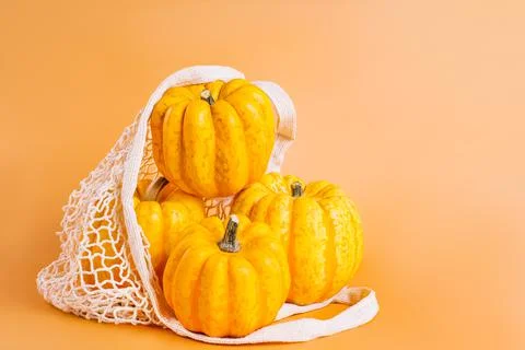 Different varieties of Pumpkins in mesh bag of fabric on orange background Stock Illustration