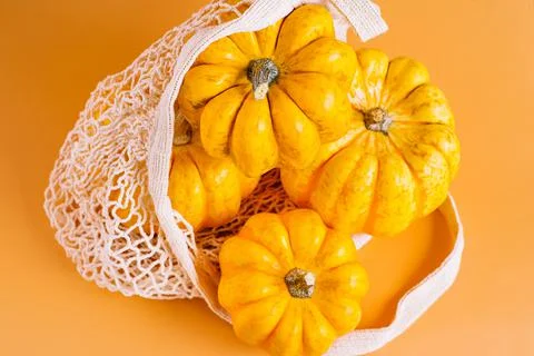 Different varieties of Pumpkins in mesh bag of fabric on orange background Stock Illustration