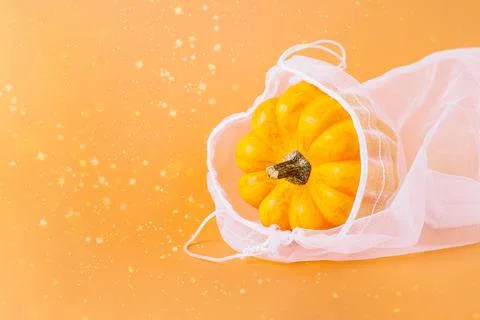 Different varieties of Pumpkins in mesh bag of fabric on orange background Stock Photos