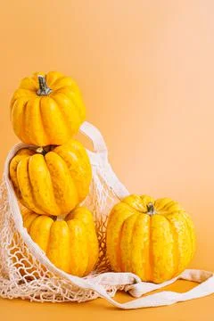 Different varieties of Pumpkins in mesh bag of fabric on orange background Stock Photos
