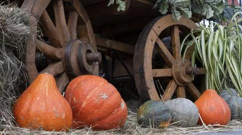 Different varieties of pumpkins on straw, next to the wheel of a wooden cart Stock Photos
