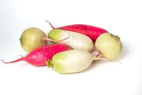 Different varieties of radish on a white background. Long red radish next to a w Stock Photos