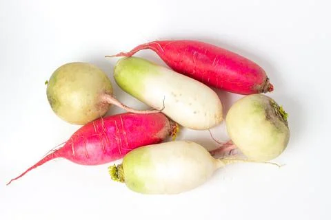 Different varieties of radish on a white background. Long red radish next to a w Stock Photos