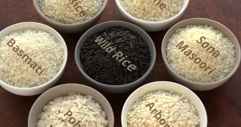 Different varieties of rice  with text names. Stock Footage 297294279
