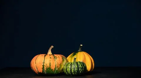 Different varieties of squashes and pumpkins Stock Photos