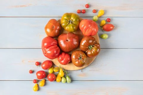 Different varieties of tomatoes Stock Photos