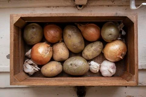 Different vegetables: potatoes, onions, garlic of a wooden textured box for v Stock Photos