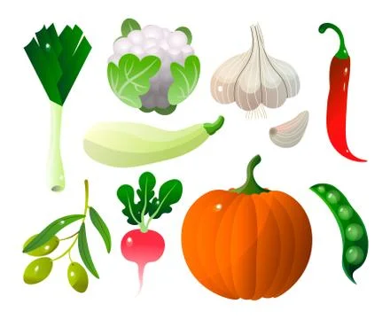 Different vegetables pumpkin zucchini pepper city and stuff. Stock Illustration