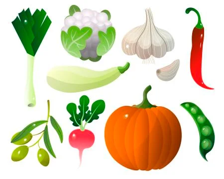Different vegetables pumpkin zucchini pepper city and stuff. Stock Illustration