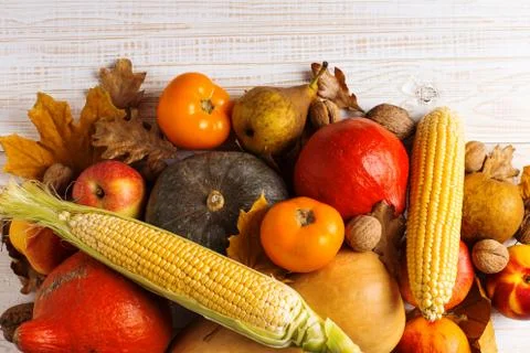Different vegetables pumpkins, apples, pears, nuts, corn, tomatoes, dry yello Stock Photos