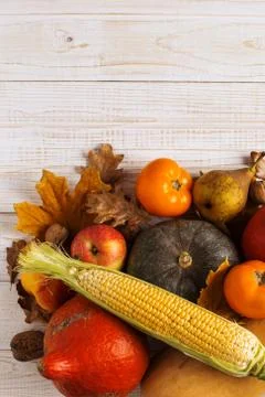 Different vegetables pumpkins, apples, pears, nuts, corn, tomatoes, dry yello Foto stock