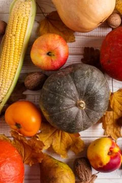Different vegetables pumpkins, apples, pears, nuts, corn, tomatoes, dry yello Stock Photos