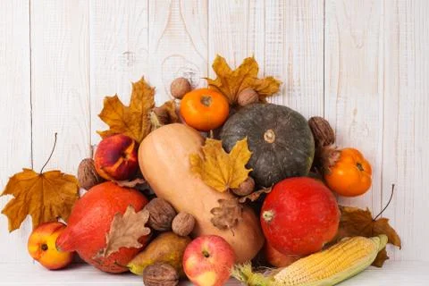 Different vegetables, pumpkins, apples, pears, nuts, corn, tomatoes and dry l Stock Photos