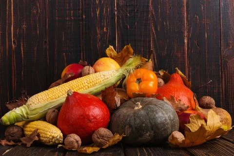 Different vegetables, pumpkins, apples, pears, nuts, tomatoes, corn, dry yell Stock Photos