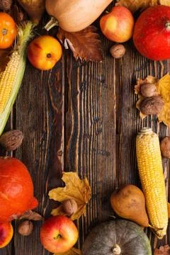 Different vegetables, pumpkins, apples, pears, nuts, tomatoes, corn, dry yell Stock Photos