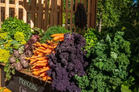 Different vegetables on the shop. Stock Photos