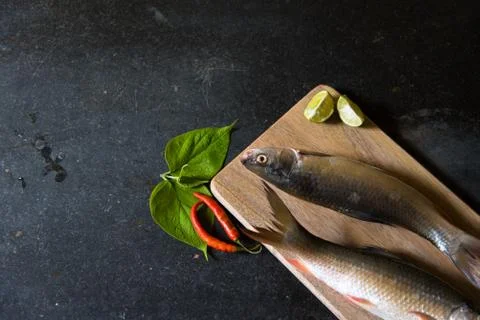 Different view of raw fish on black background Stock Photos