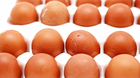 Different views of eggs arranged in neat rows on a clean surface Stock Footage 329966698