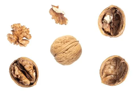 Different walnuts isolated on the white background Stock Photos