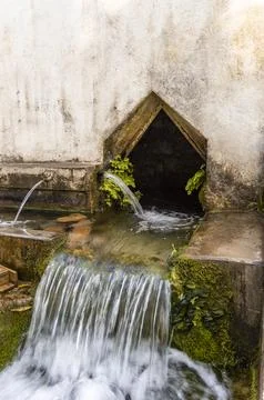 Different water flows in a natural spring source Stock Photos