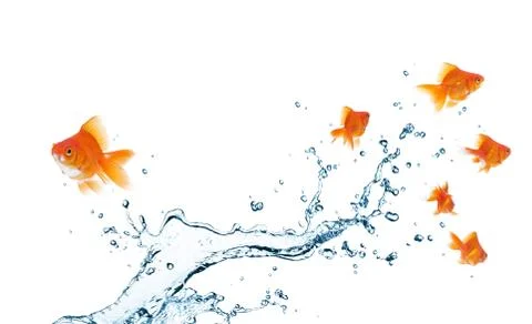 Different way Stock Photos