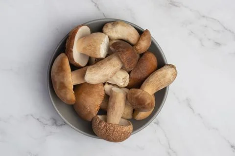 Different white mushrooms in a gray plate on a white background Stock Photos