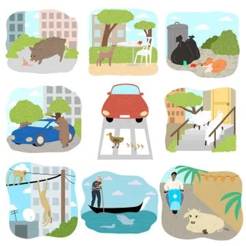 Different wild and farm animals exploring city vector illustration Stock Illustration