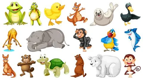 Different wild animals on white background 스톡 일러스트