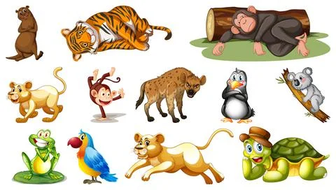 Different wild animals on white background 스톡 일러스트