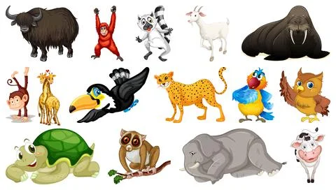 Different wild animals on white background Illustrazione stock