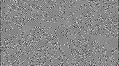 Differential Growth Pattern Stockbeeldmateriaal 337639825